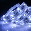 5050 LED Strip Light 30led/meter